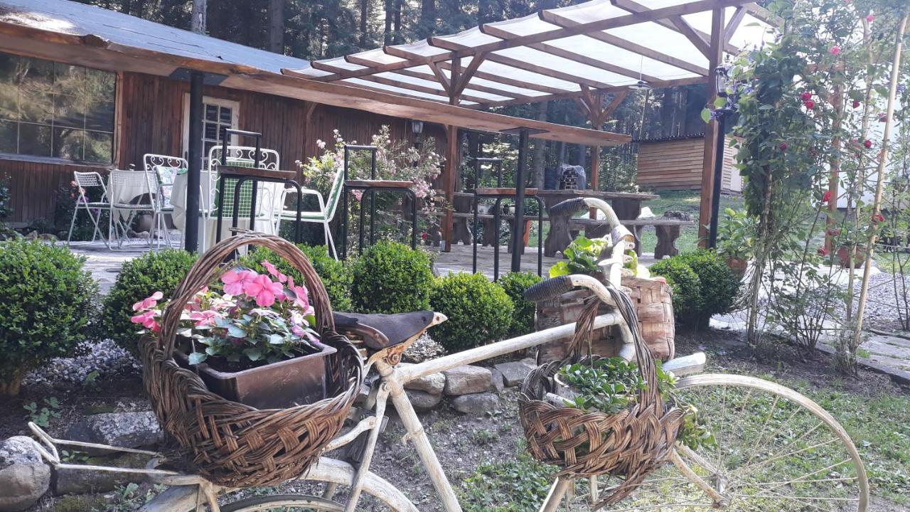 Villa Sveti Dimitar Borovets Eksteriør bilde