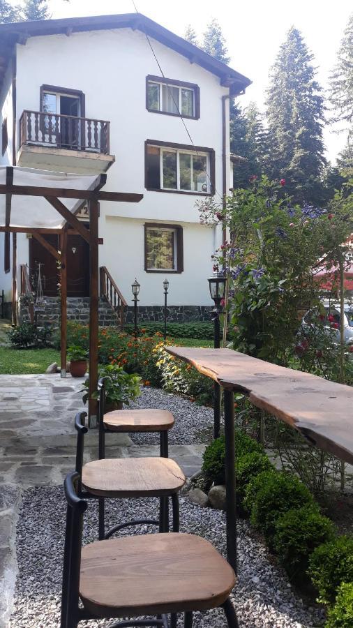 Villa Sveti Dimitar Borovets Eksteriør bilde