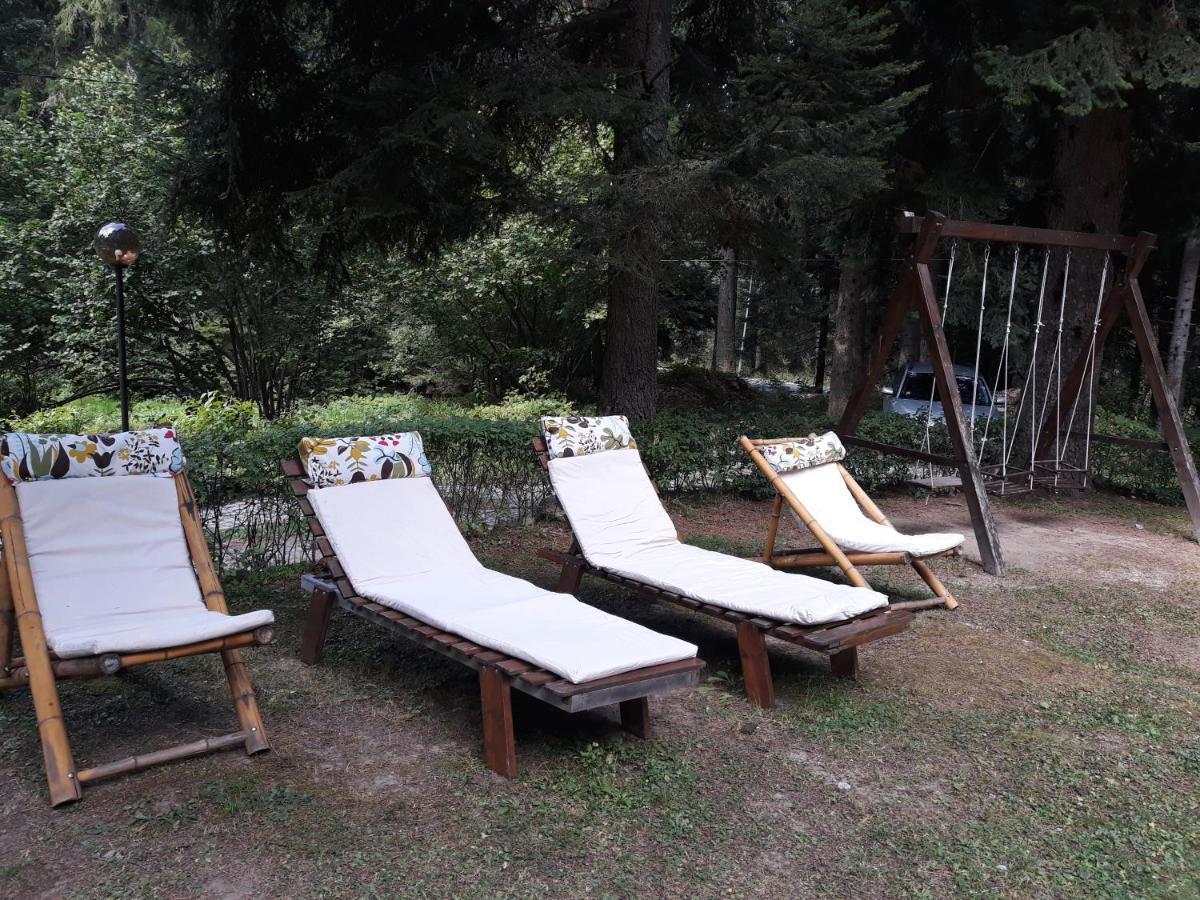 Villa Sveti Dimitar Borovets Eksteriør bilde